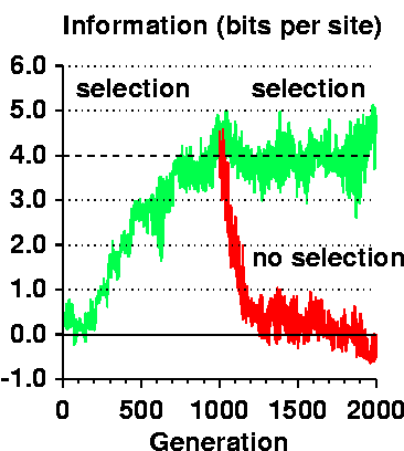 information graph with time for ev program